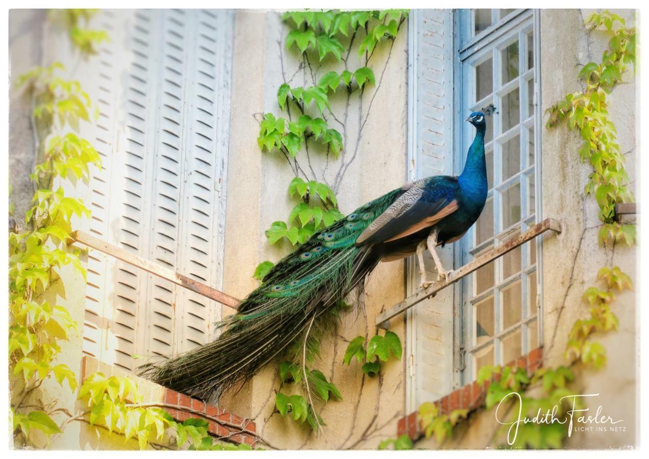 Bed and Breakfast Le Relais Du Doubs En Bourgogne Ciel Экстерьер фото